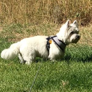 Meet your Posher, Jackie